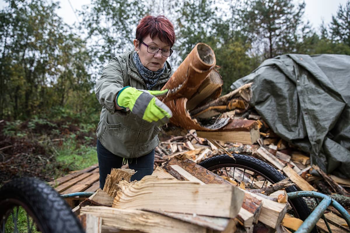 virva järvelin