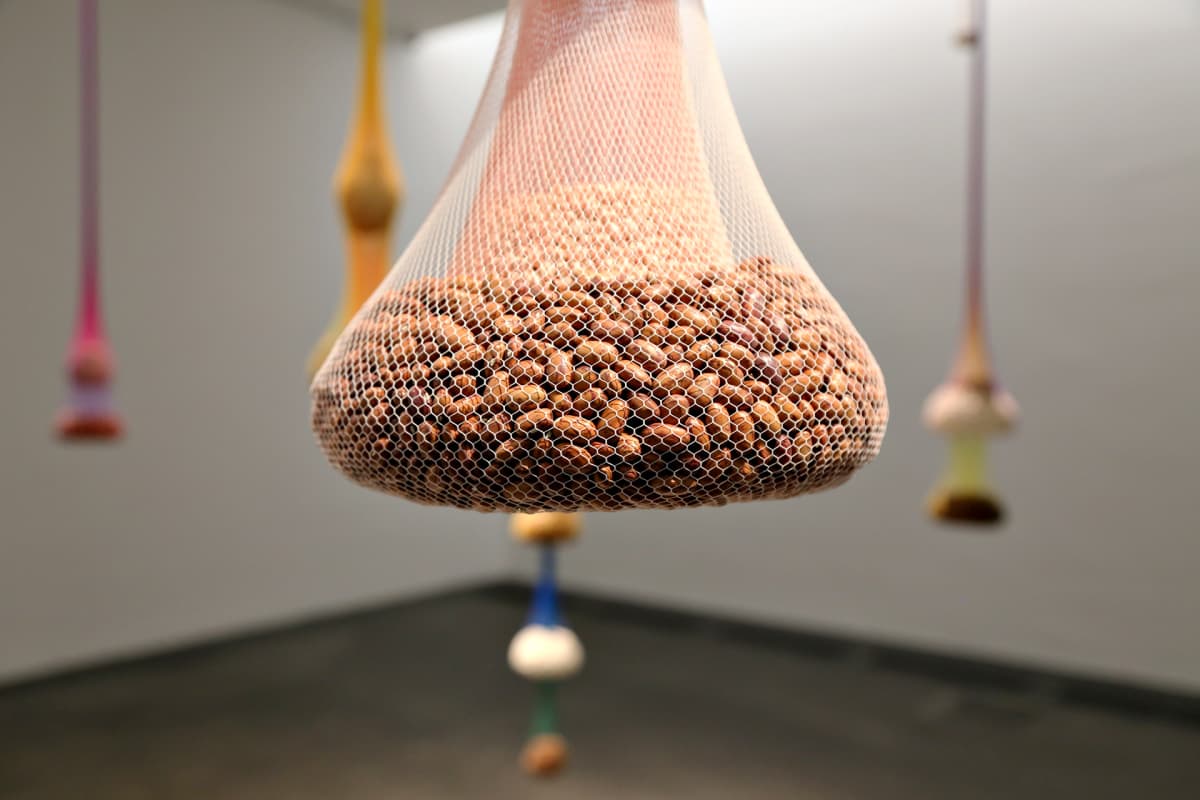 Ernesto Neto