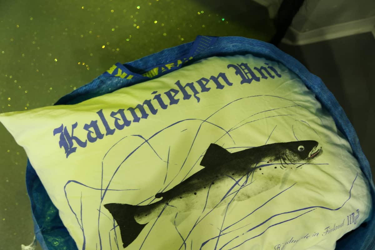 Joulukuun ensimmäisenä yönä halukkaiden oli mahdollista yöpyä akvaariotalo Maretariumissa.