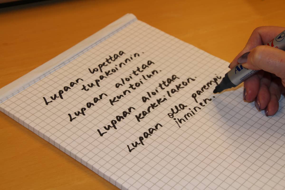 Uudenvuodenlupaus.