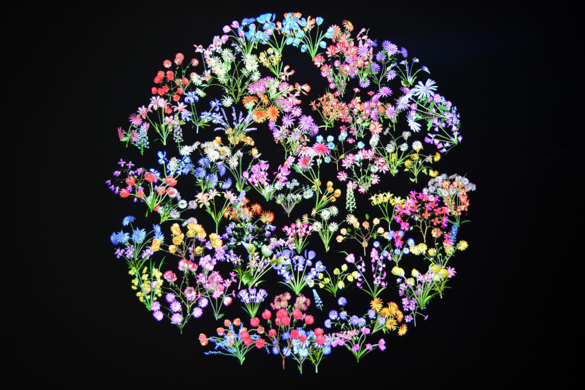 Jennifer Stenkamp, Botanic