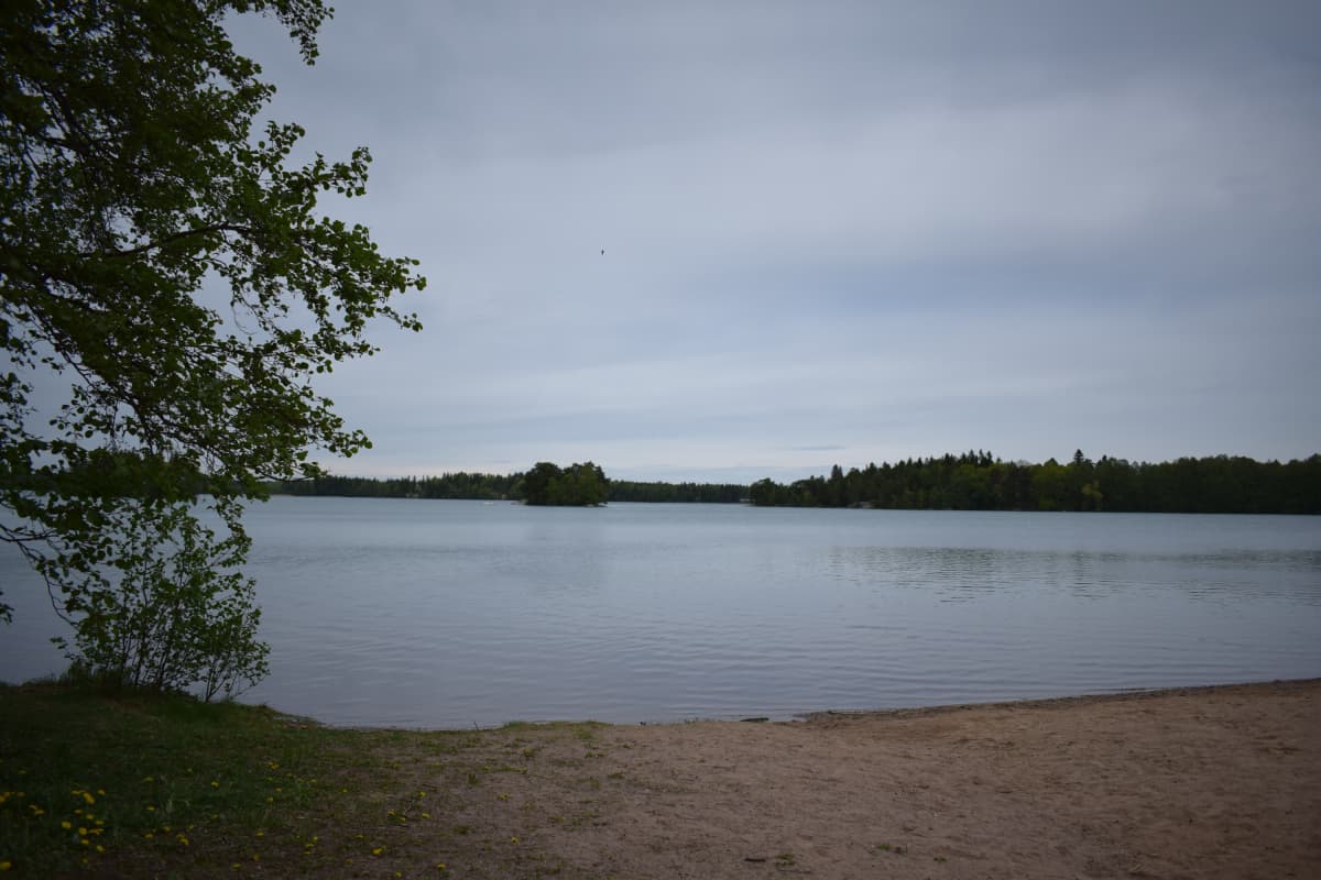Littoisten järvi 30.5.2017 harmaalla säällä, kirkastuksen jälkeen.
