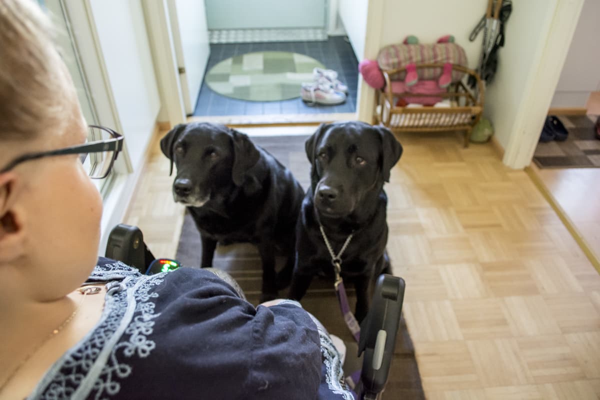 Anni Mannelin lähdössä koirien kanssa ulos