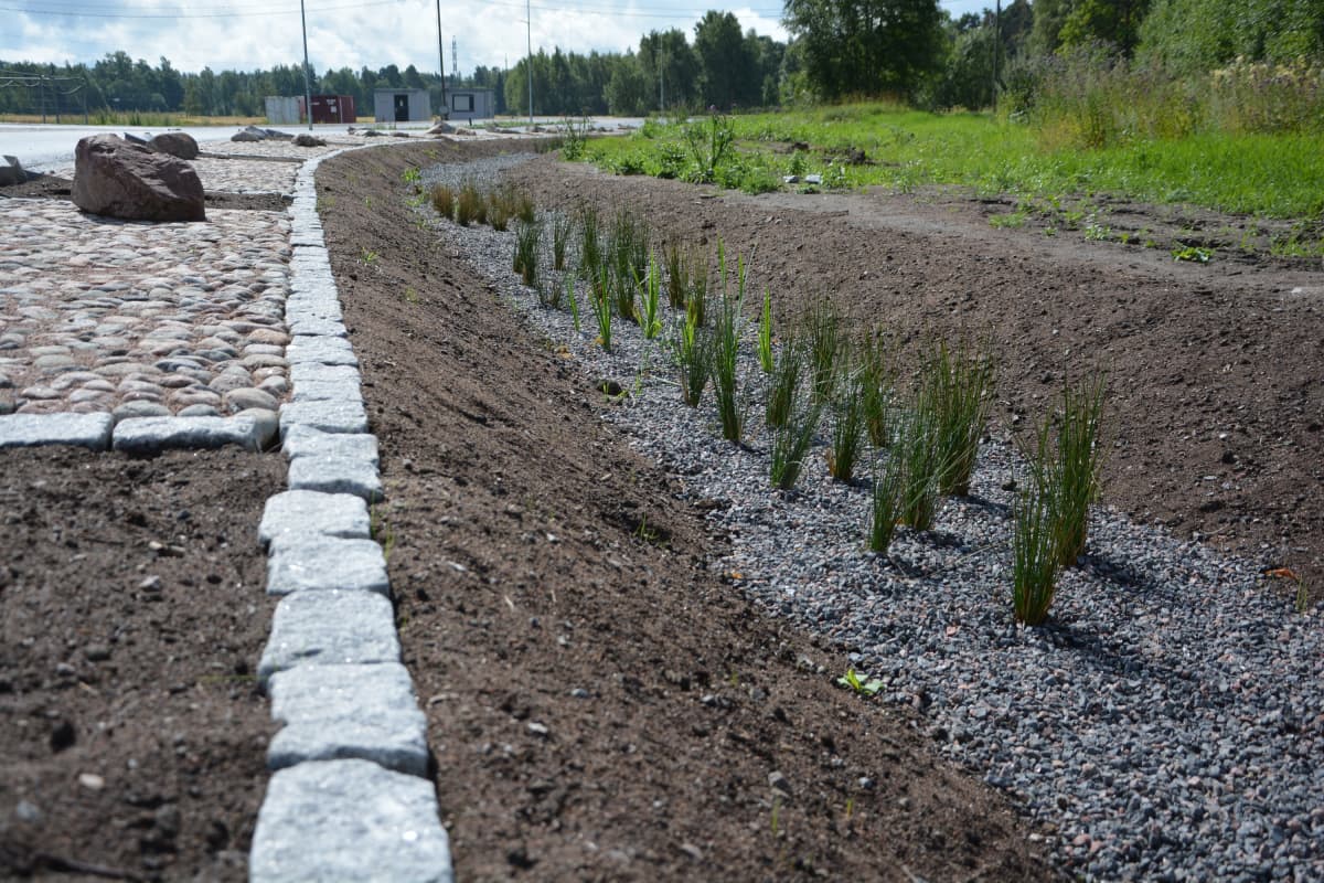 Hulevesialue Skanssin kaupunginosassa