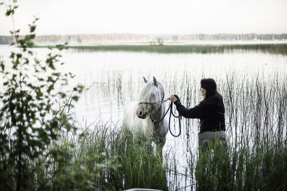 Hevonen ja Rita Peltola seisovat vedessä Pohjanhevosen kuvauksiin valmistauduttaessa opetellen kuljettavaa reittiä.