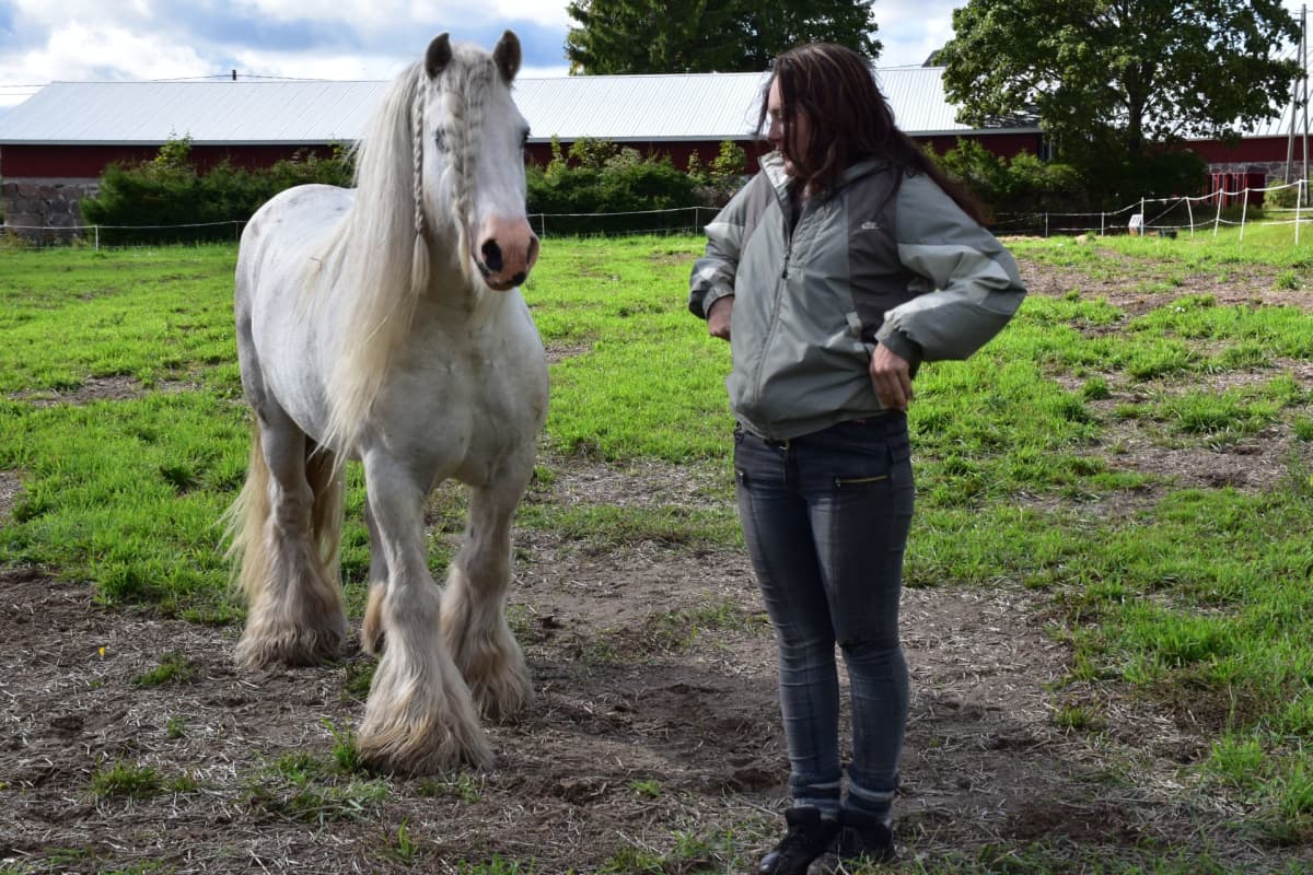 Hevonen ja omistaja Rita Peltola seisovat vierekkäin laitumella.