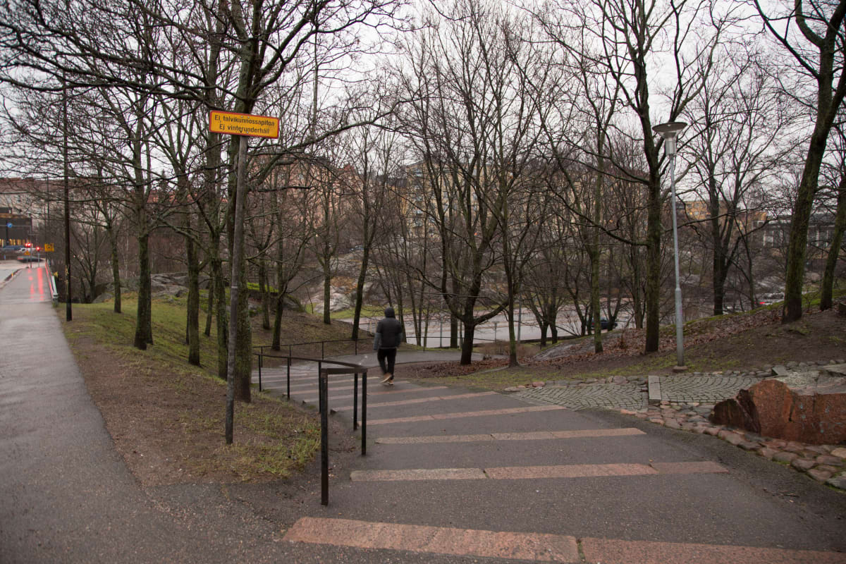 Tauno Palon puisto 29. 12. 2017.