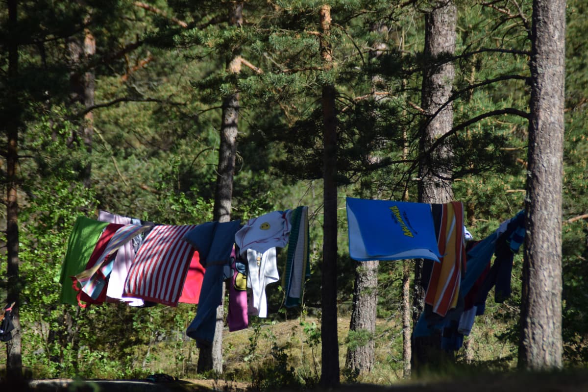 En bild på ett klädstreck som är upphängt mellan två tallar. På strecket hänger handdukar i olika färger och en del är randiga.
