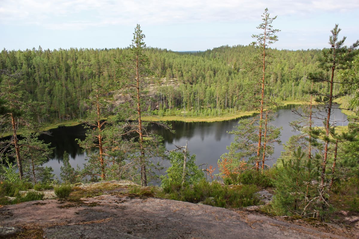 Järvimaisema Repoveden kansallispuistossa.