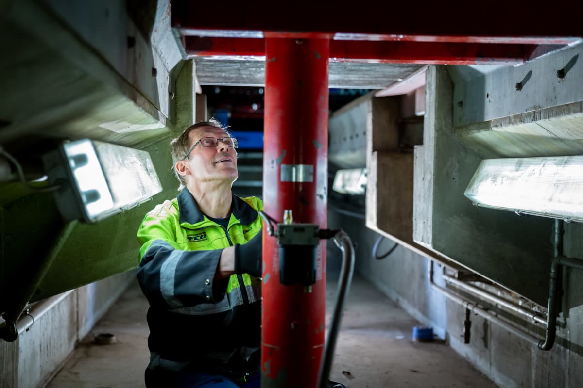 Kuljetuspalveluyritys Speed Depot Hollolan yli 60-vuotias työntekijä Esko Parikka, Hollola, 13.11.2018.