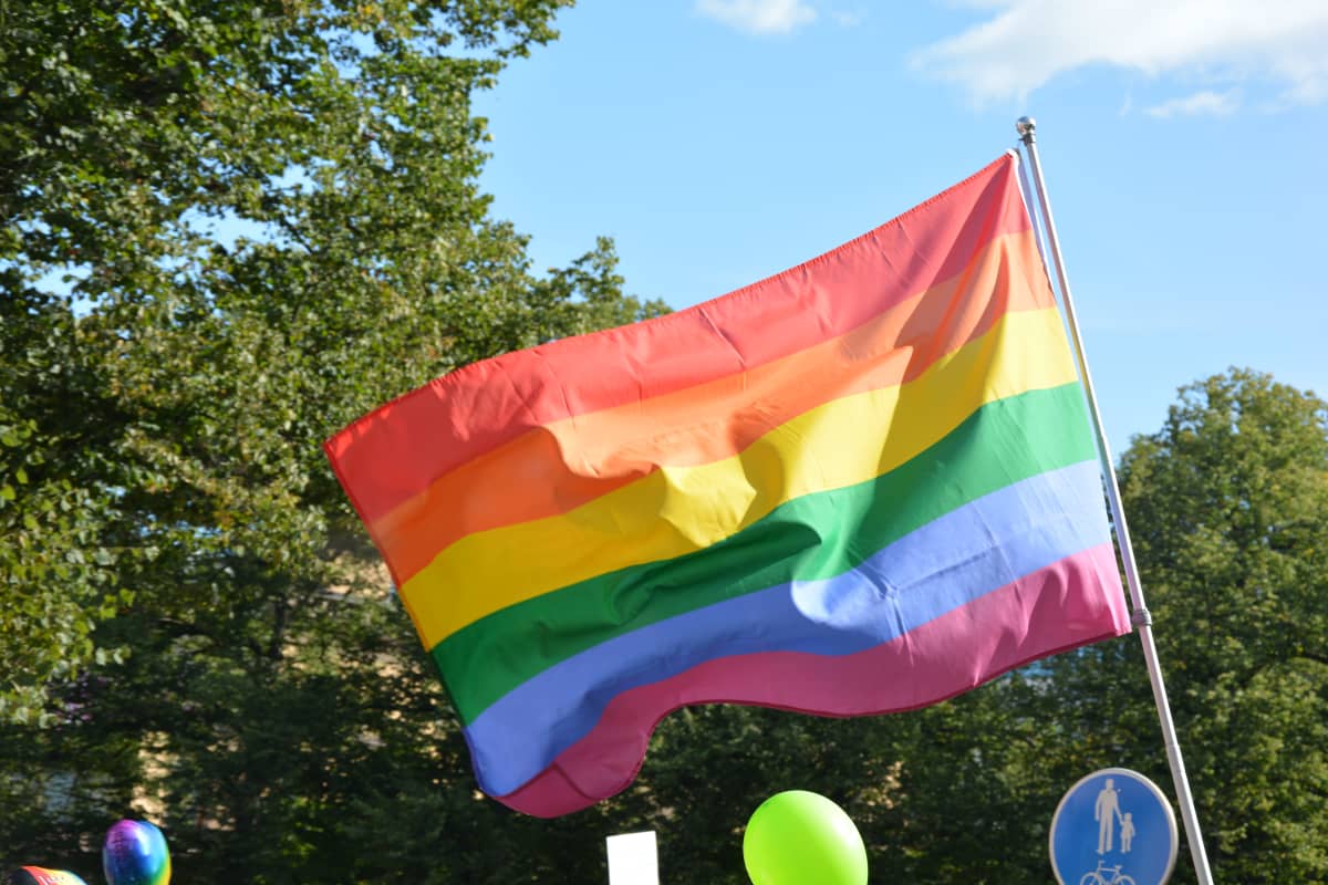 Regnbågsflagga i närbild.