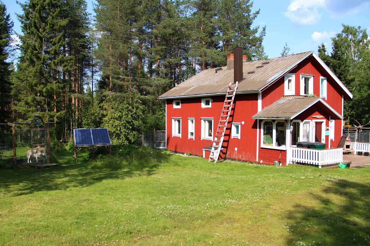 Doblingerien talo, jonka pihassa on aitaus ja tarha koirasusille.