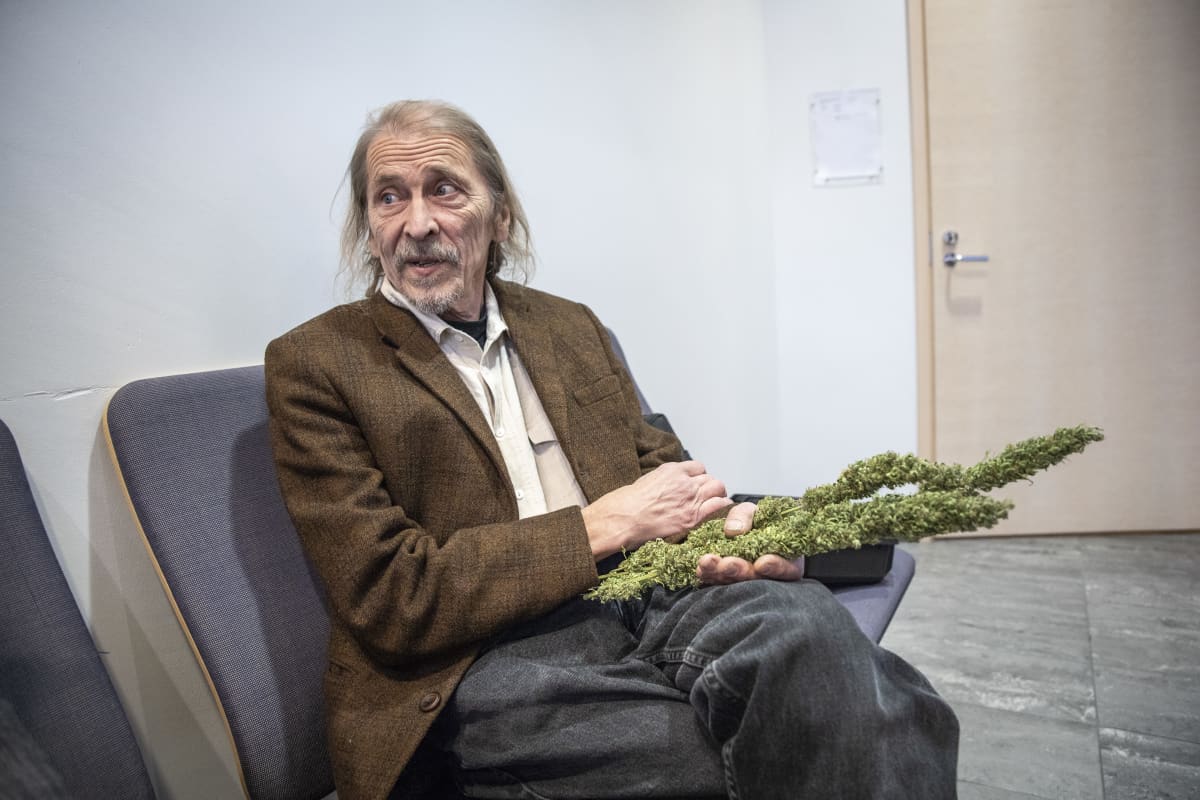 Hannu Hyvönen pitää Kannabis-kasvia kädessään käräjäoikeus salin edessä.
