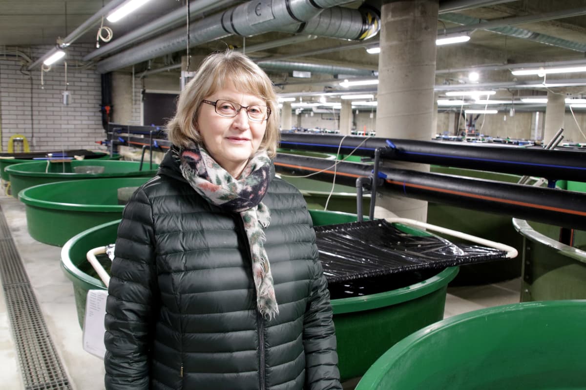tutkija Irma Kolari