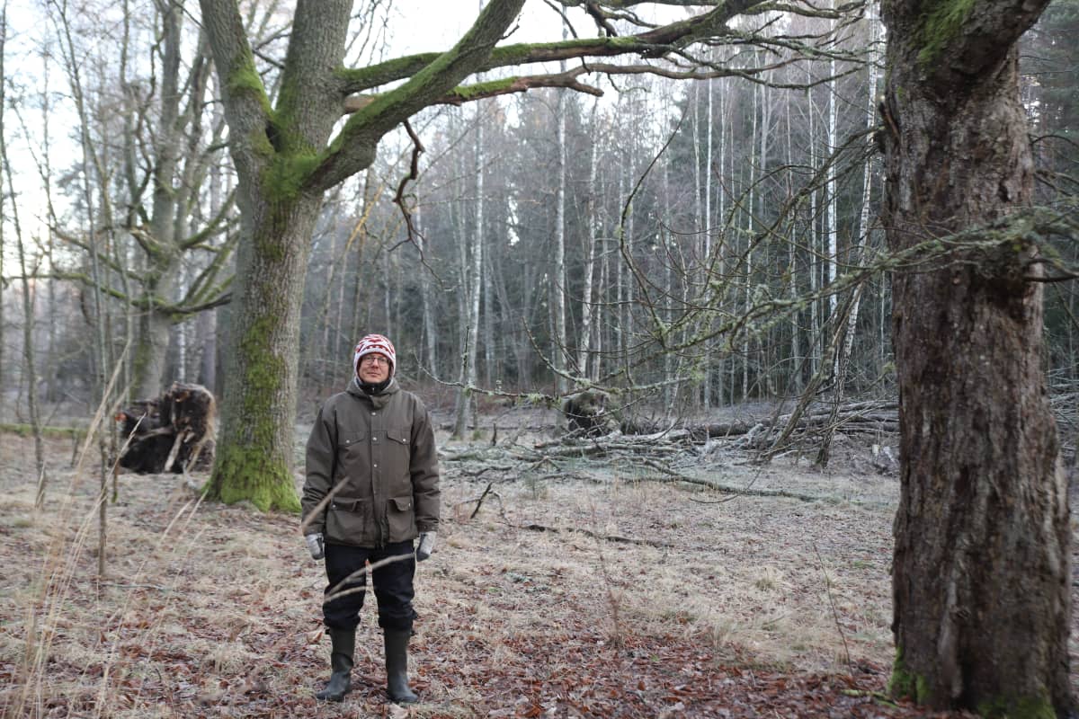 Mies metsässä.