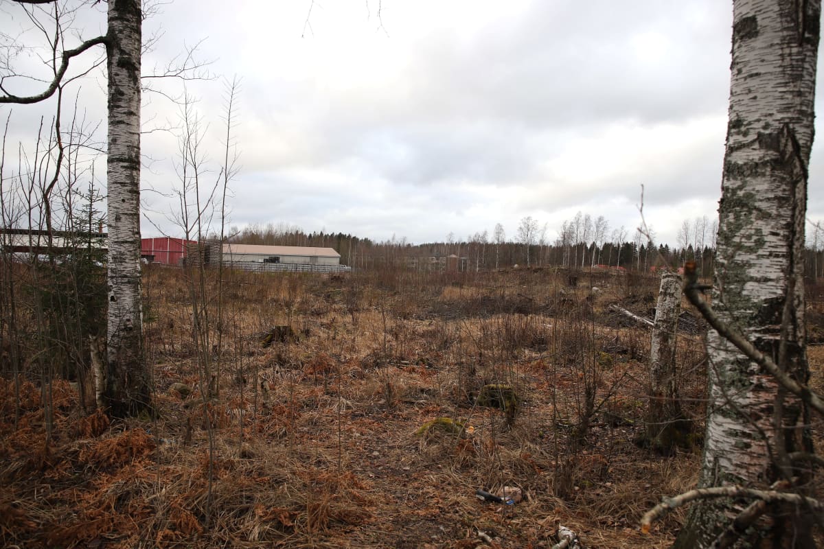 Tontti, jolle puukerrostaloalueen on tarkoitus rakentua Riihimäellä.
