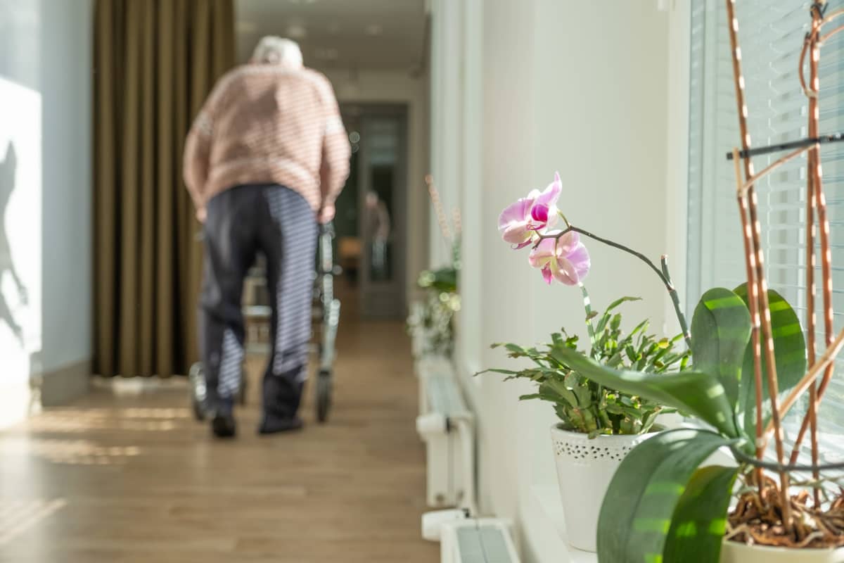 Vanhus kävelee käytävällä rollaattorin kanssa Myyrmäen vanhusten keskuksessa, Vantaalla.