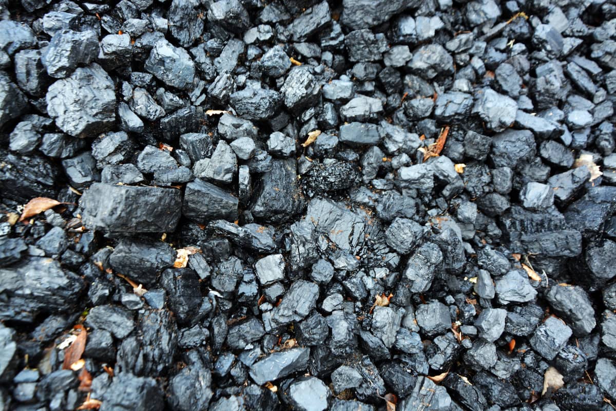 kivihiiltä lähikuvassa