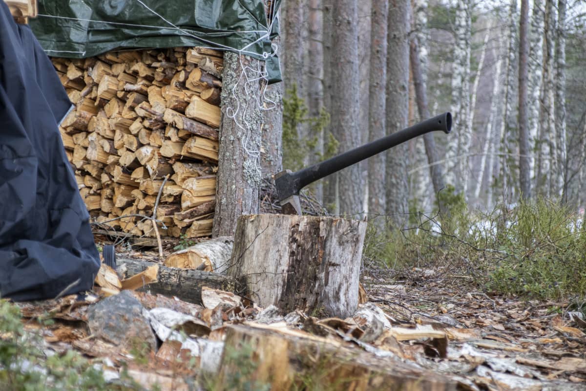 Kirves iskettynä pölkkyyn.