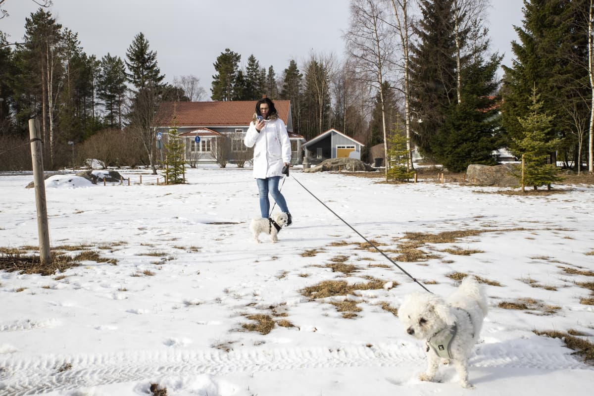 ANITA VÄLIMAA lenkittää koiria