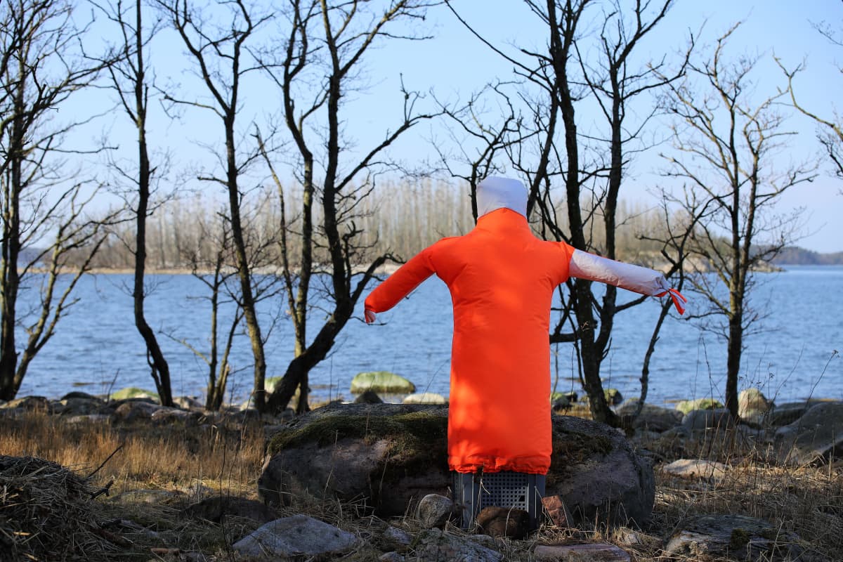 linnunpelätn taustalla merimetsojen asuttama saari