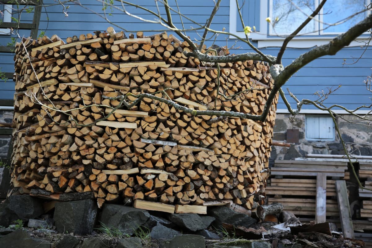 Raumalainen Tapio Koivukari latoo polttopuut virolaiseen tapaan.