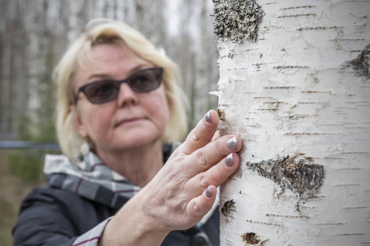 Susanna Maaranen mahlankeruukoivikossa.