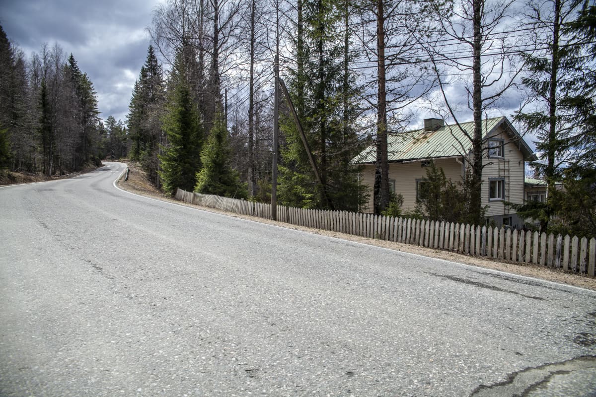 Kolin kiistelty tonttialue