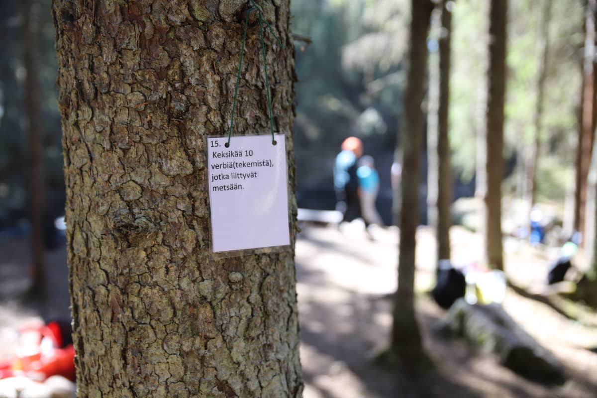 Tehtävä puussa