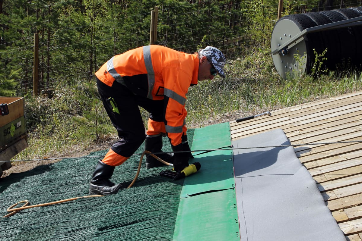 Auvo Kuvaja asentaa muovimattoa mäkihyppyrinteeseen.