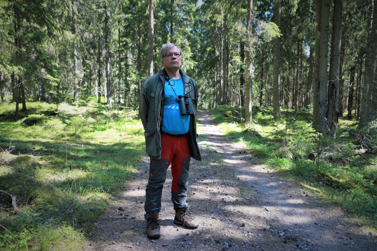 Matti Koivula, LUKE
