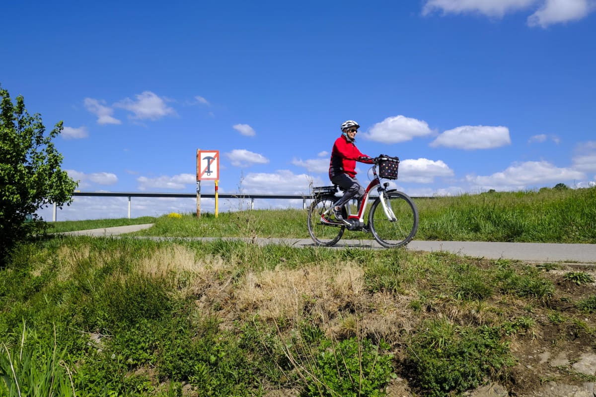 En kvinna åker på en elcykel. I bakgrunden syns blå himmel och grönt gräs.