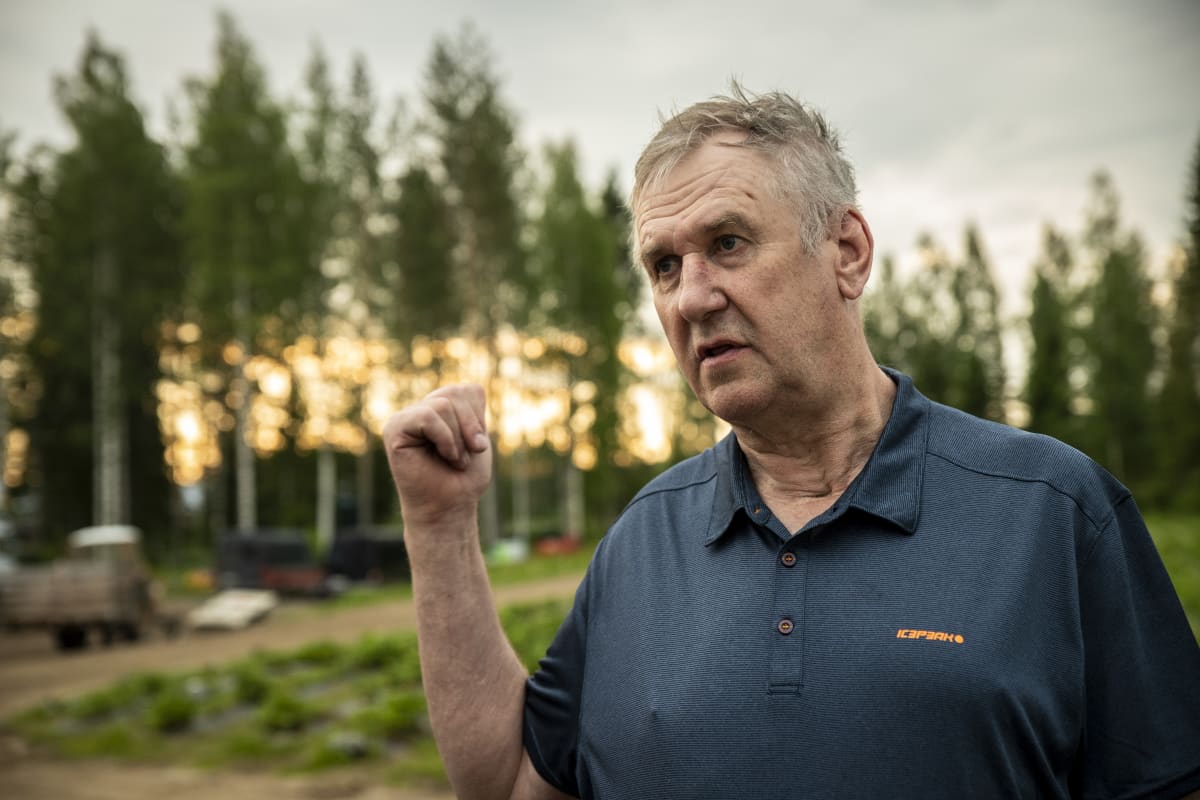 marjanviljelijä Veikko Raivio, Suonenjoki