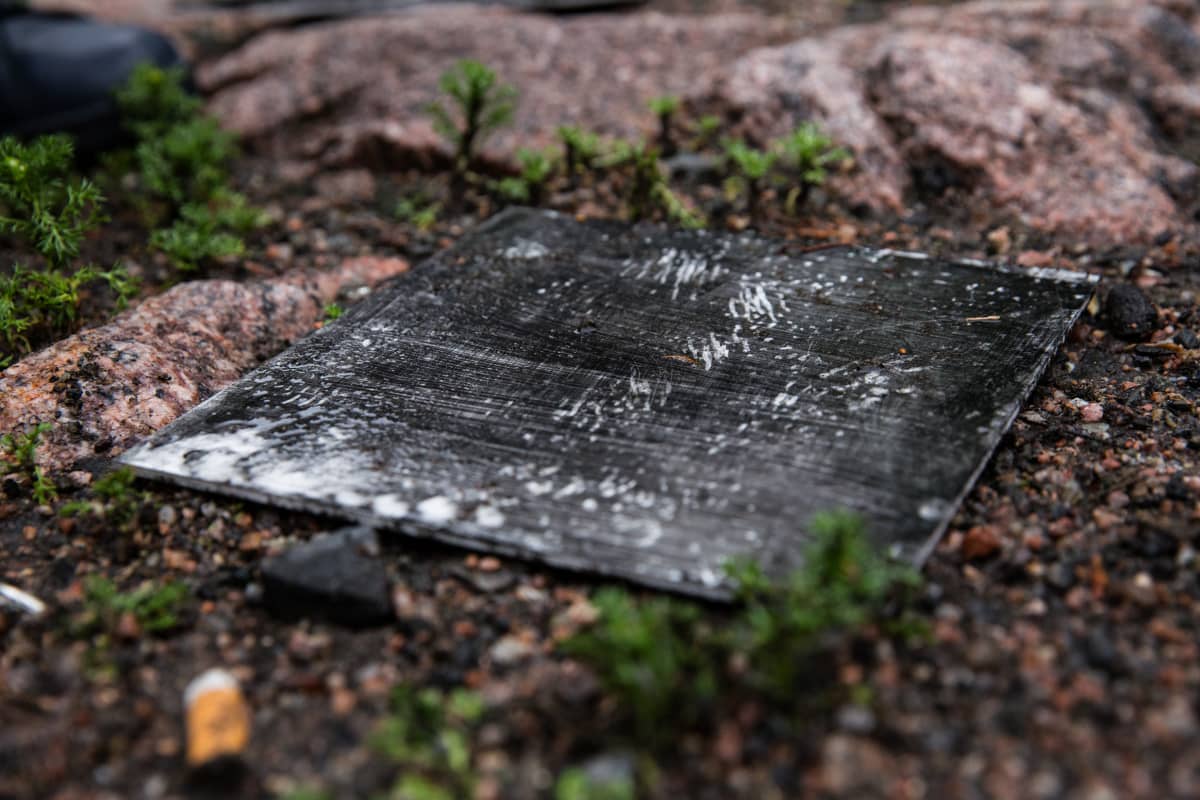 Jälkilauta, jossa rotan jälkiä.
