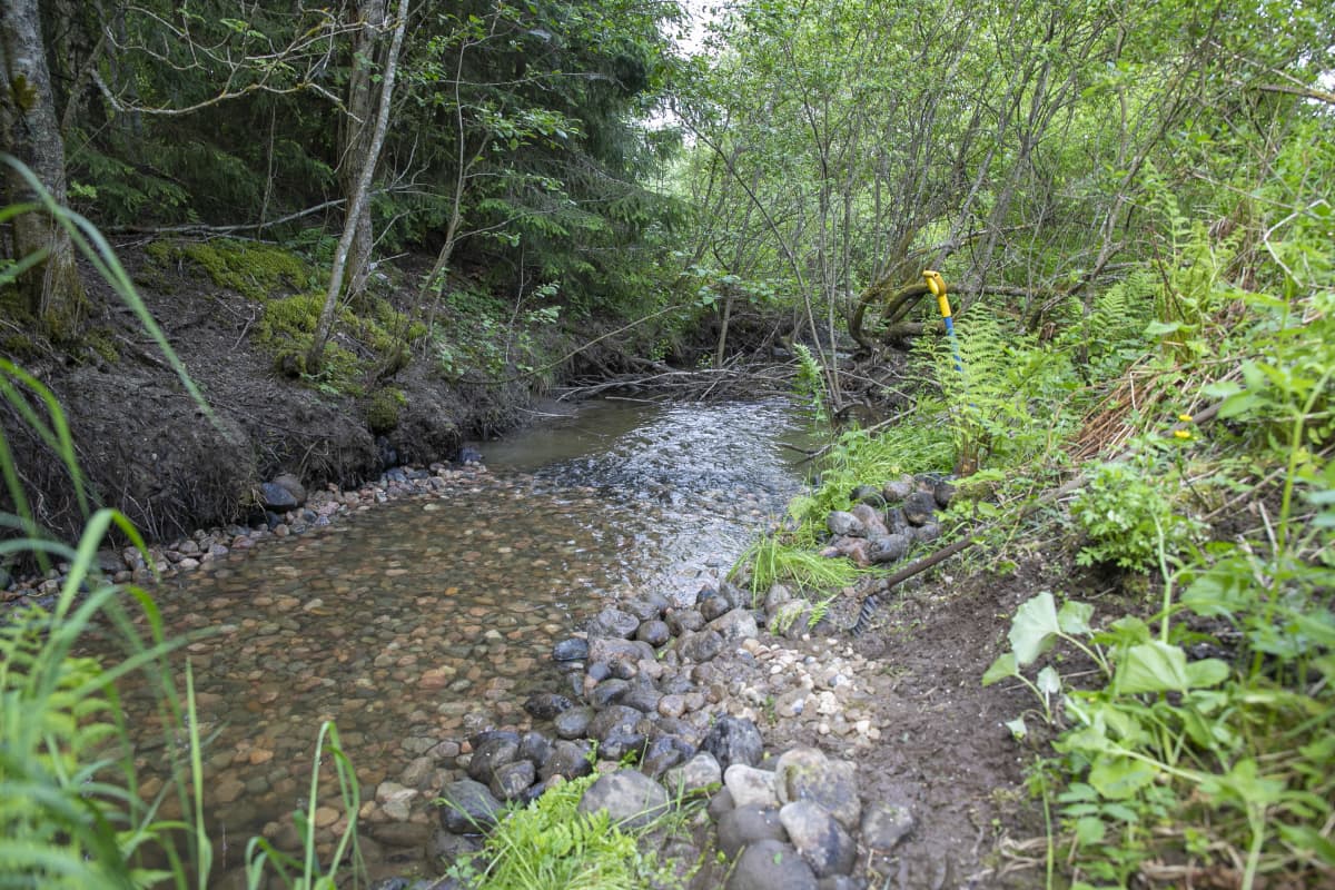 Vantaanjoen sivupuro