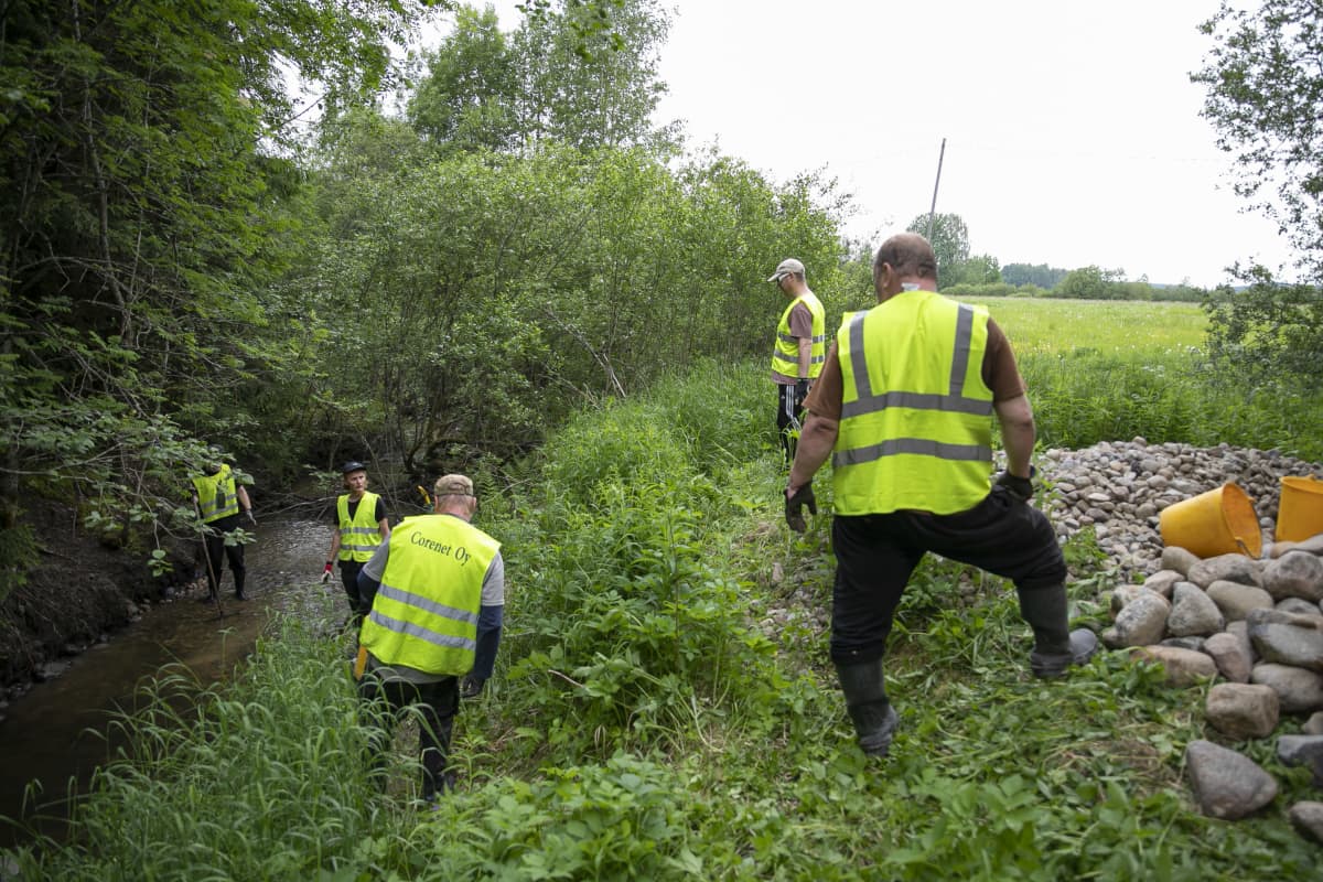 Vantaanjoen sivupuron kunnostusta