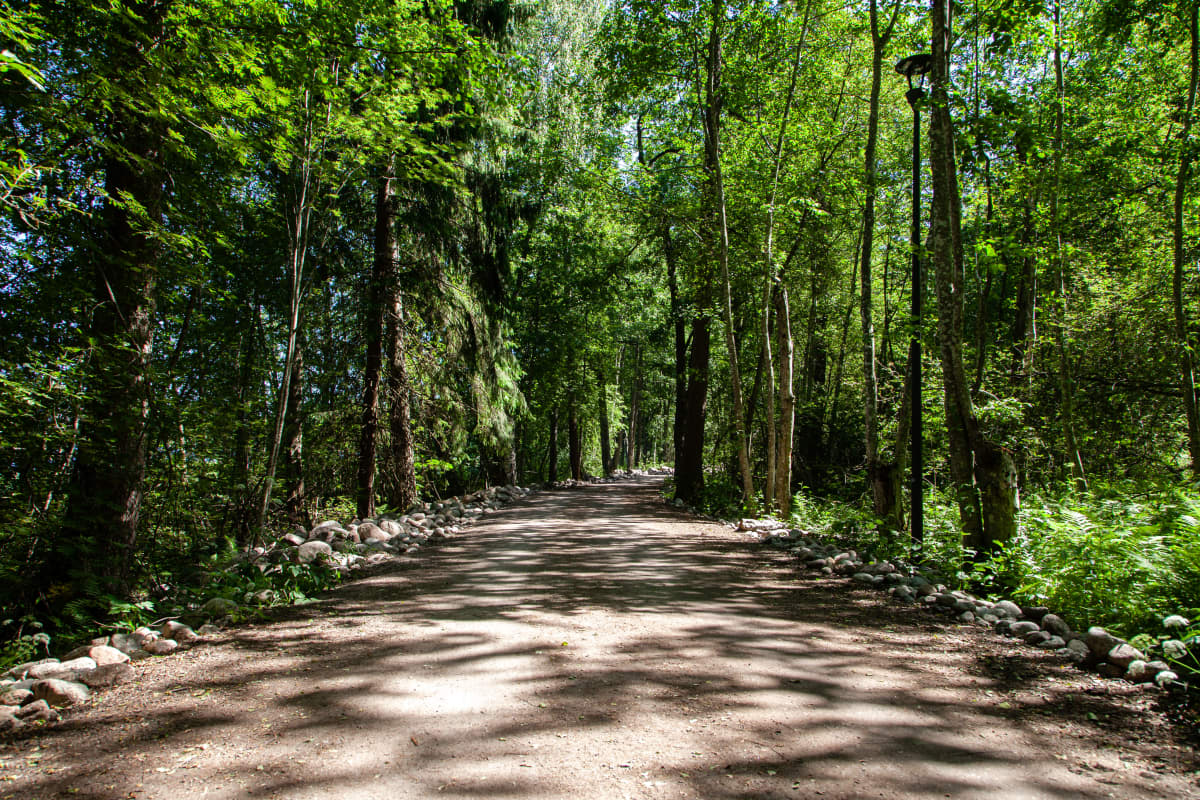 Lappeenrannan rantaraitin metsäinen osuus.