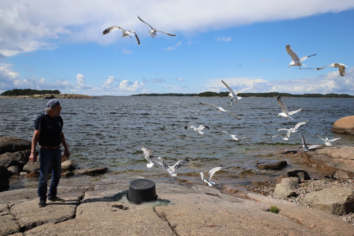 Kalastaja Jukka Hakala Haapasaaren rannalla Kotkassa.