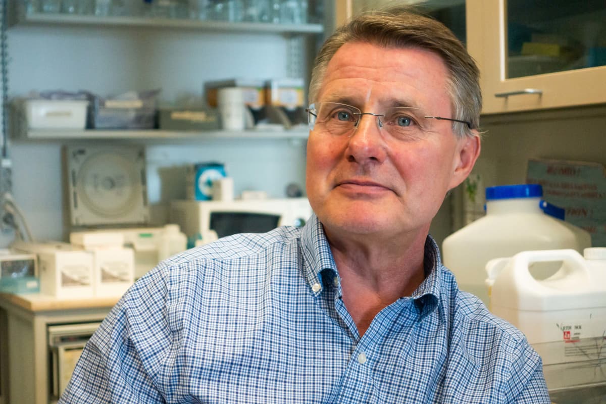 Virologian professori Kalle Saksela laboratoriossa Hgin Yliopiston Meilahden lääketieteellisessä laitoksessa.