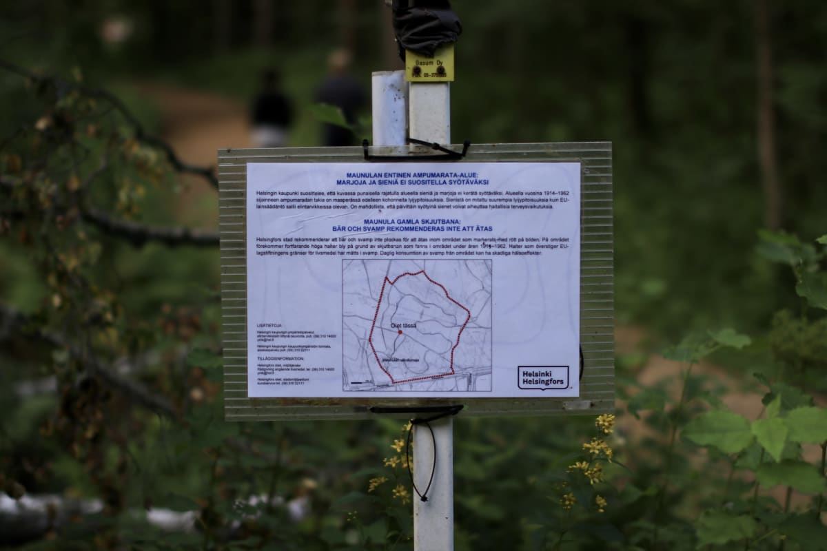 Kyltti varoittaa, ettei sieniä ja marjoja suositella kerättäväksi ja syötäväksi Maunulan entisellä ampumarata-alueella.