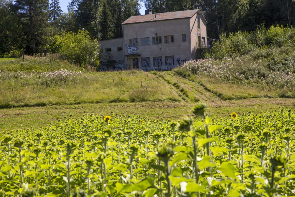Vesilaitosrakennus Nikkilän sairaalan alueella.