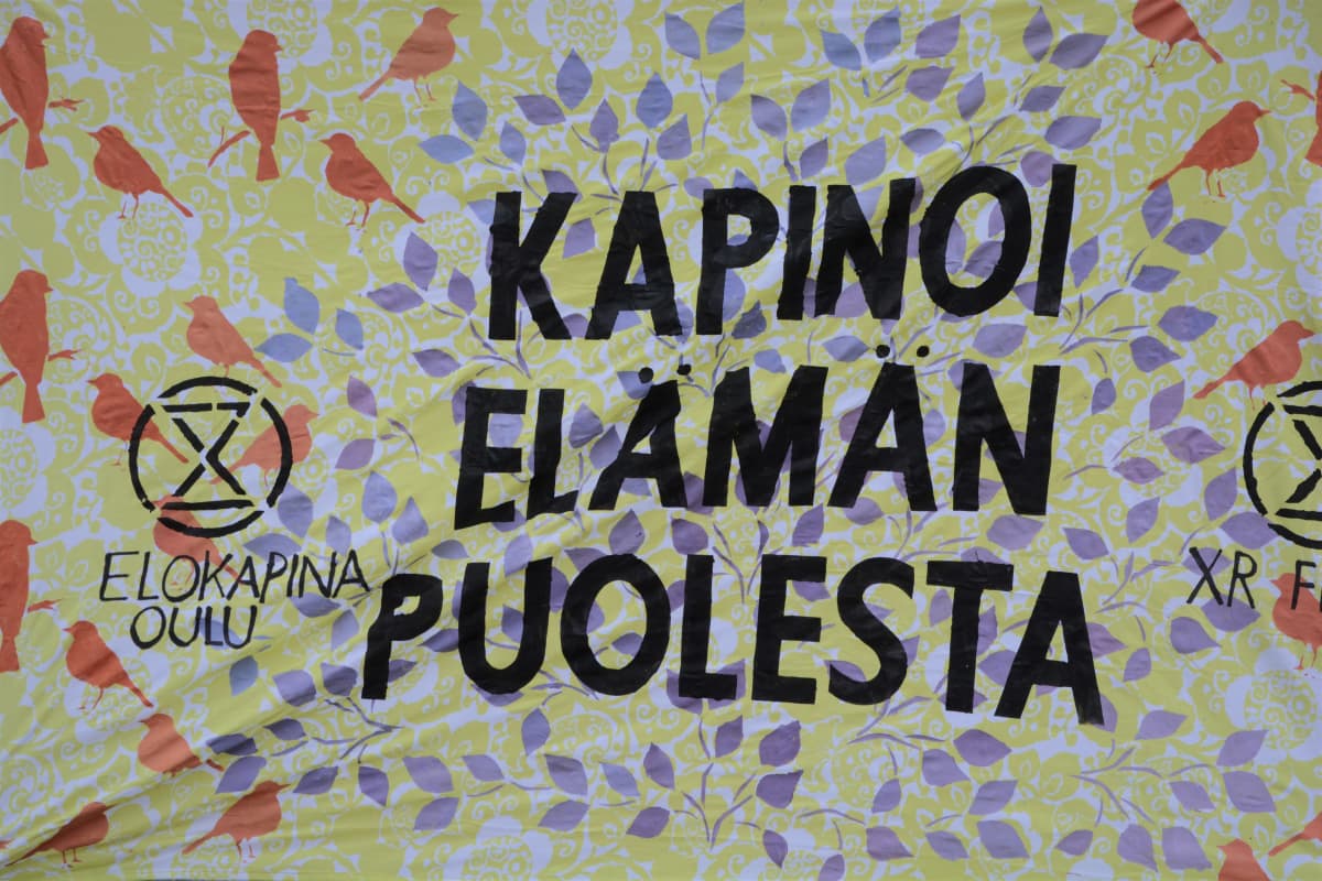 Ilmastomielenosoitus Oulussa 5.9.2020.