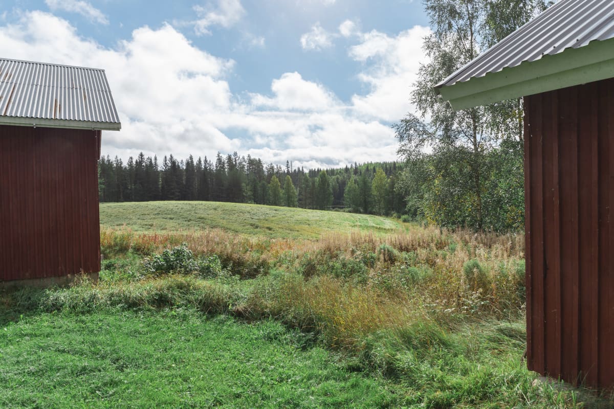 Näkymä Outi Ruuskan pihasta.