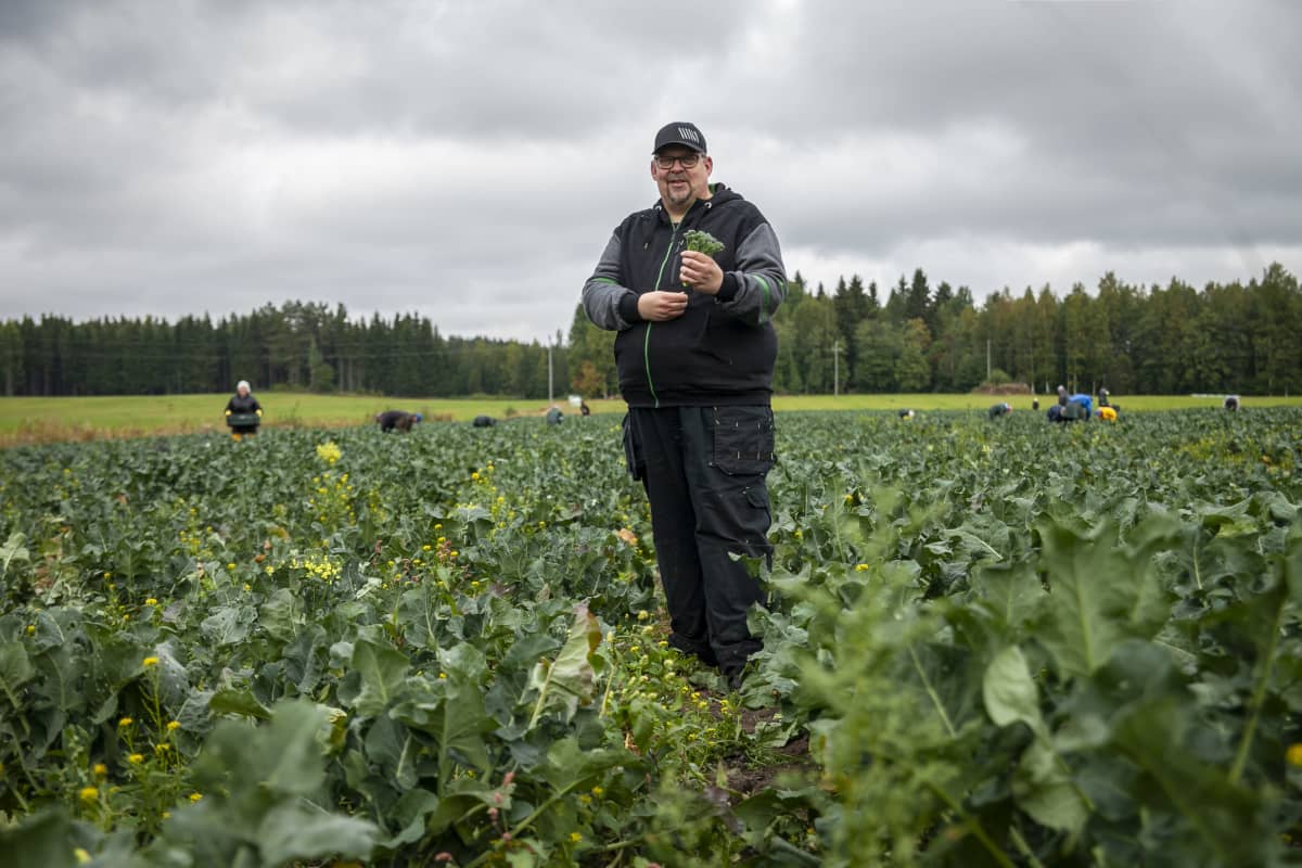 Ari Torvinen, Pekan piha, Leppävirta