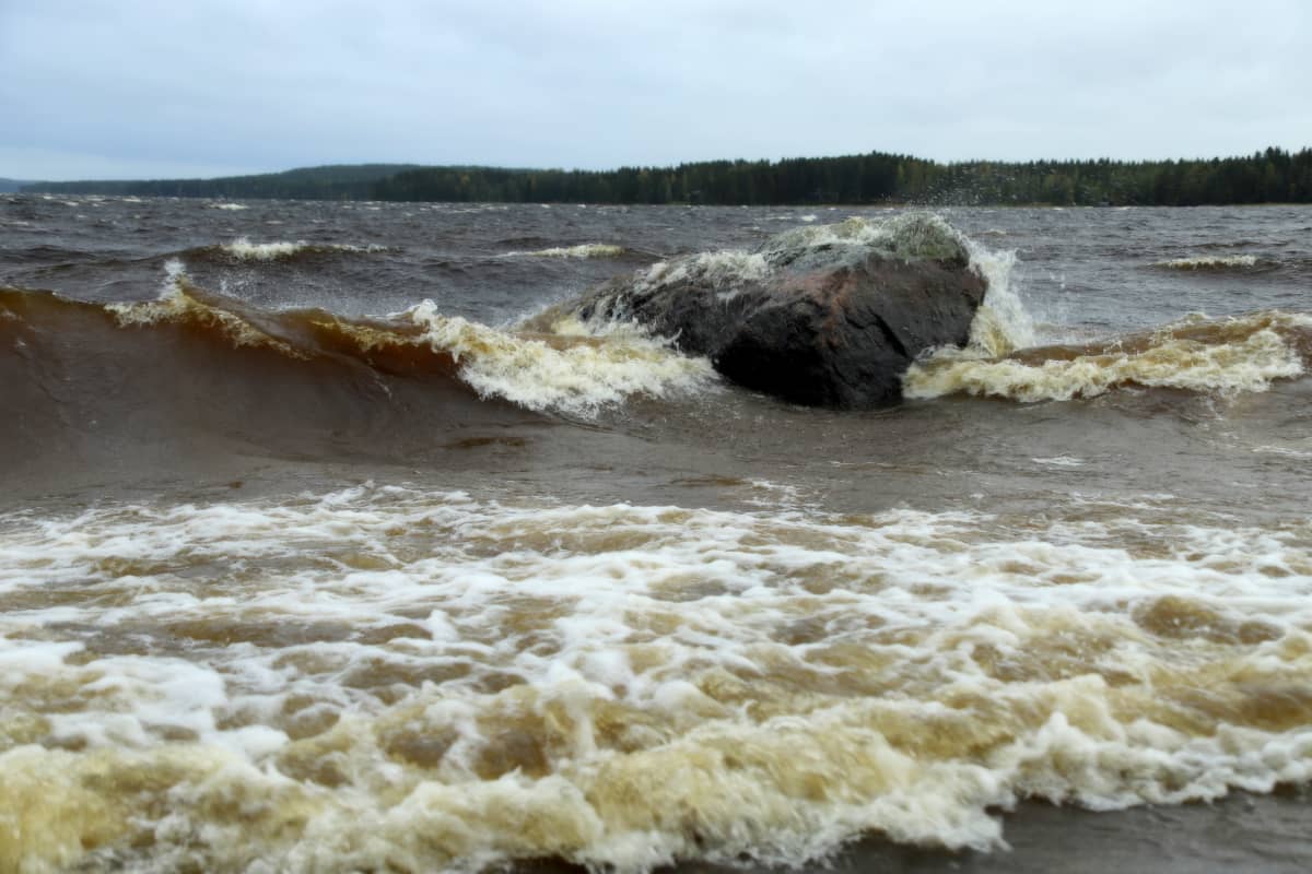 Näin Aila-myrsky nostattaa aaltoja Virroilla.