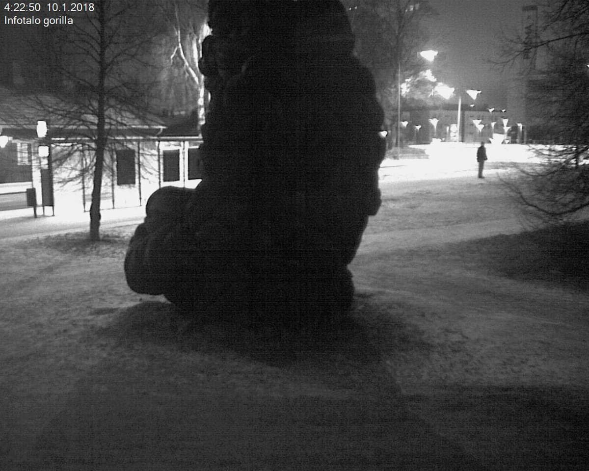 Kumigorillan sytyttämisestä epäilty henkilö valvontakameran kuvassa