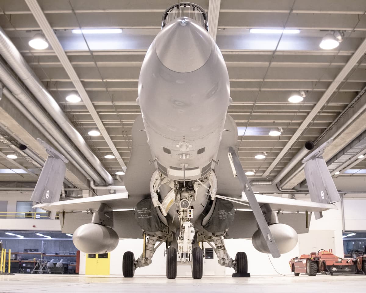 Hornet hävittäjä