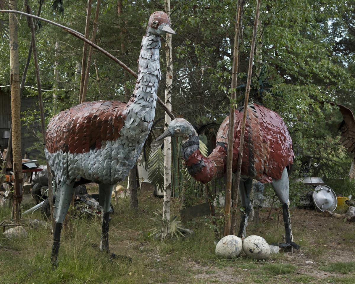 Alpo Koivumäki: Norsulinnut
