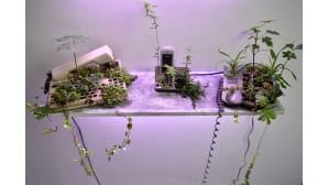 Ranskalaistaiteilija Michel Blazyn teos 'Last Garden' näytteillä 28. kesäkuuta 'Voyage a Nantes' art fair' -tapahtumassa Ranskassa.