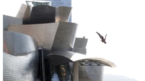 Andy Jones harjoitteli uimahyppyä Bilbaon Guggenheim museon kupeessa.